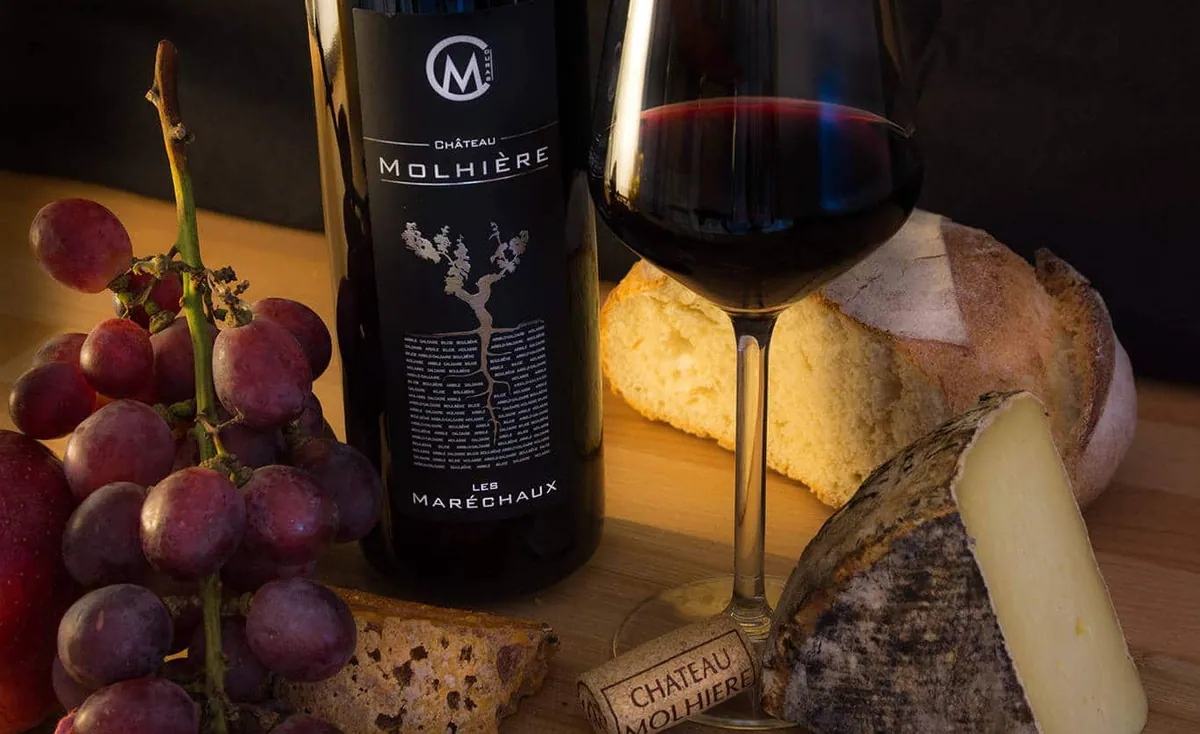 Bouteille du Château Molhière, raisins, pain et fromage